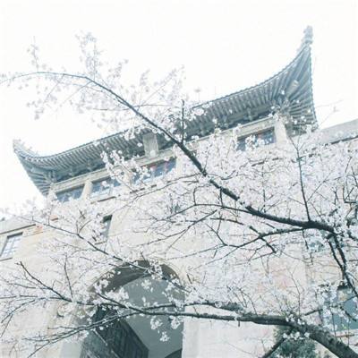 九鼎天下h5版下载