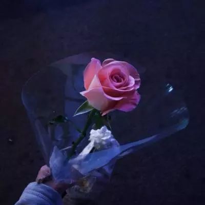 赤月红城传奇下载